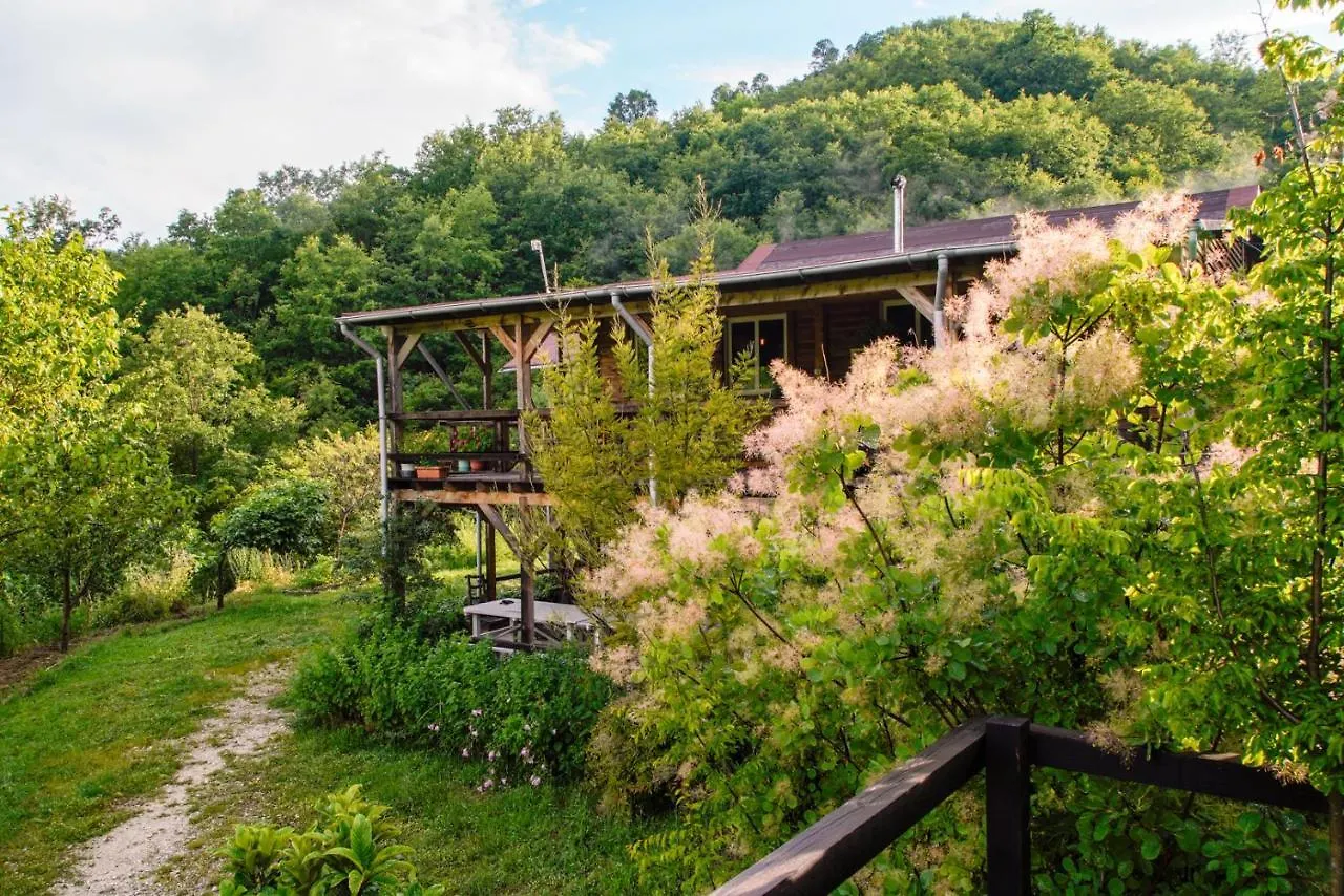 Ferma Albanik Hotel Kelcyre Albânia