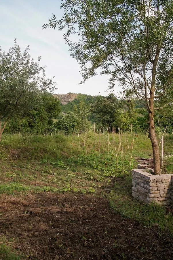 Ferma Albanik Hotel Kelcyre